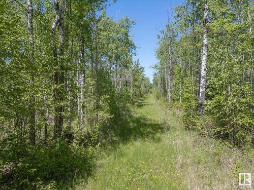 5504 A Highway 16, Rural Parkland County, AB 