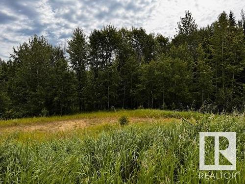 61127 Hwy 763, Rural Barrhead County, AB - Outdoor With View