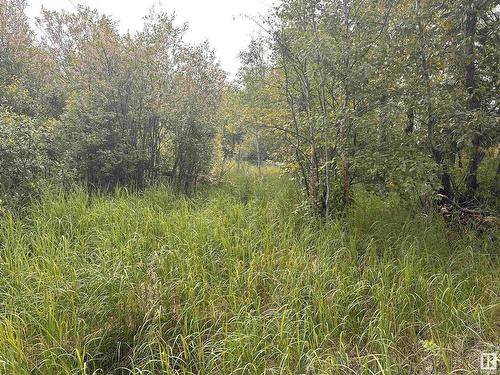 Lot 3 Rr 273 Rd, Rural Sturgeon County, AB 