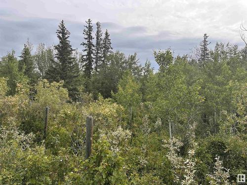 Lot 3 Rr 273 Rd, Rural Sturgeon County, AB 