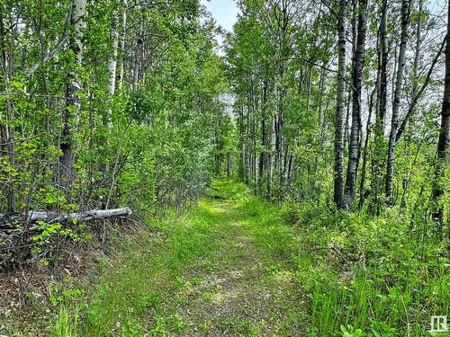 623005 Rge Rd 60, Rural Woodlands County, AB 