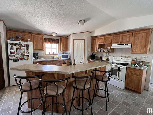 118 5509 Twp Rd 494, Rural Brazeau County, AB - Indoor Photo Showing Kitchen With Double Sink