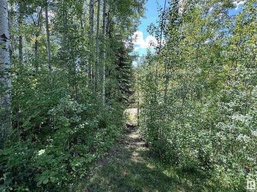 118 5509 Twp Rd 494, Rural Brazeau County, AB - Outdoor