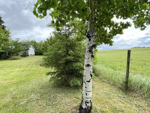 59310 Rng Rd 112, Rural St. Paul County, AB - Outdoor With View