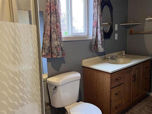 59310 Rng Rd 112, Rural St. Paul County, AB - Indoor Photo Showing Bathroom