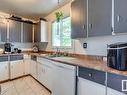 14528 34 Street, Edmonton, AB  - Indoor Photo Showing Kitchen With Double Sink 