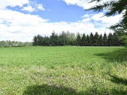 49353 Rge Rd 245, Rural Leduc County, AB 