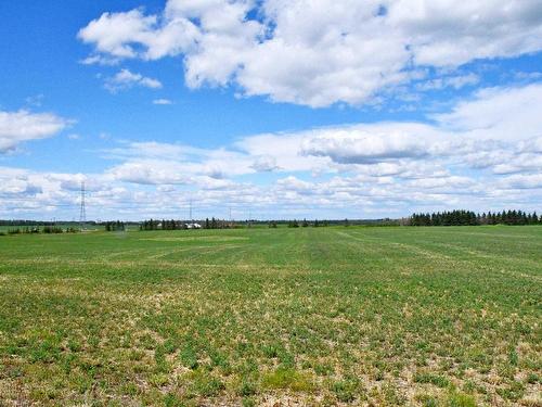 49353 Rge Rd 245, Rural Leduc County, AB 