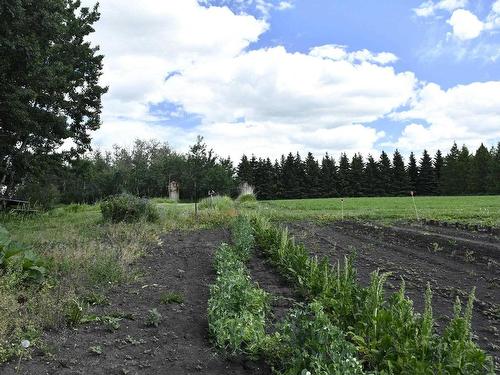 49353 Rge Rd 245, Rural Leduc County, AB 