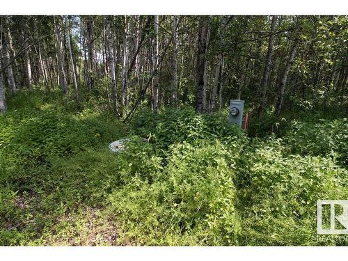 #130 5519 Twp Rd 550, Rural Lac Ste. Anne County, AB 