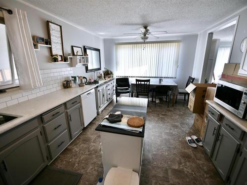 4626 46 Avenue, St. Paul Town, AB - Indoor Photo Showing Kitchen