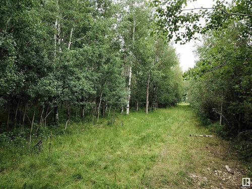 5-5-53-28-Se Lot D, Rural Parkland County, AB 