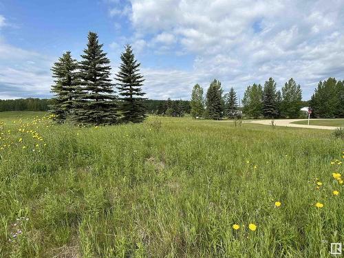 71 15025 Twp Rd 470, Rural Wetaskiwin County, AB 