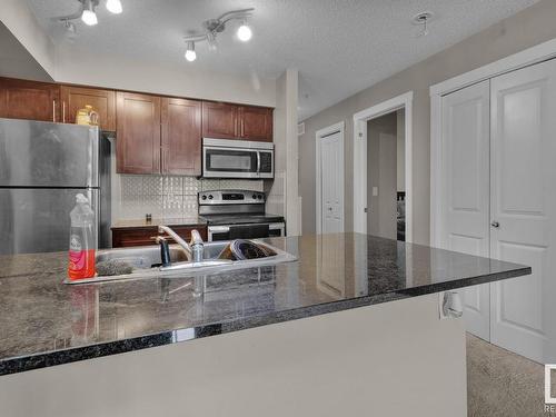 106 3211 James Mowatt Trail, Edmonton, AB - Indoor Photo Showing Kitchen With Stainless Steel Kitchen With Double Sink With Upgraded Kitchen