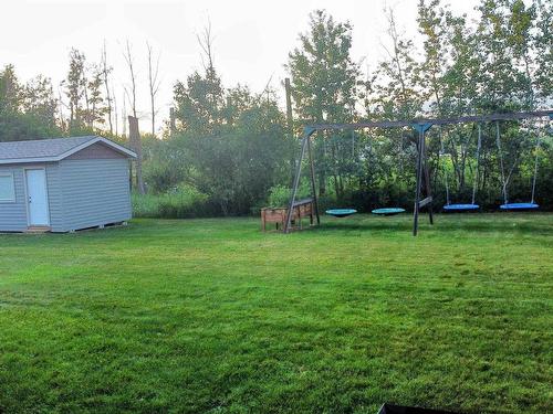 16281 141 Street, Edmonton, AB - Outdoor With Backyard