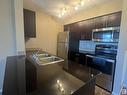 221 3315 James Mowatt Trail, Edmonton, AB  - Indoor Photo Showing Kitchen With Double Sink 