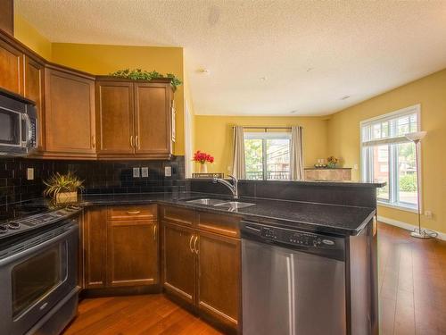 202 7907 109 Street, Edmonton, AB - Indoor Photo Showing Kitchen With Double Sink