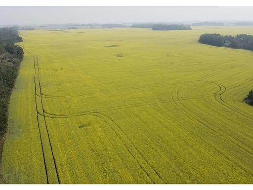 Hwy 2A And Rr 245, Rural Leduc County, AB 