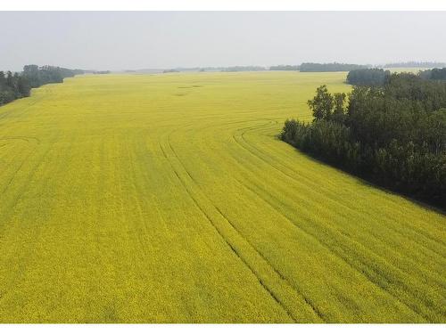 Hwy 2A And Rr 245, Rural Leduc County, AB 