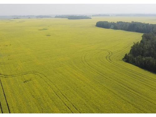 Hwy 2A And Rr 245, Rural Leduc County, AB 