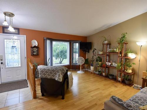 5410 52 Avenue, St. Paul Town, AB - Indoor Photo Showing Living Room