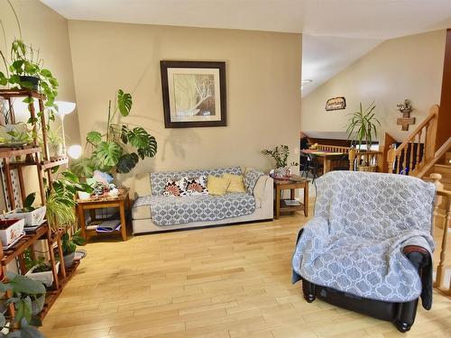 5410 52 Avenue, St. Paul Town, AB - Indoor Photo Showing Living Room