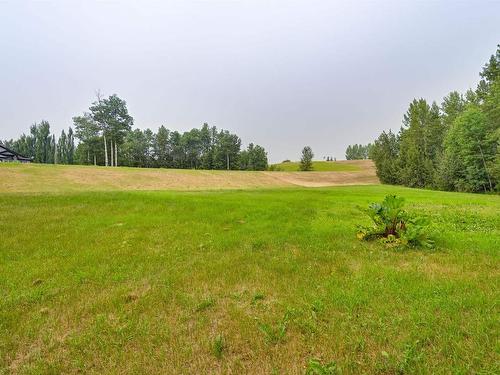 49 53122 Range Road 14, Rural Parkland County, AB 