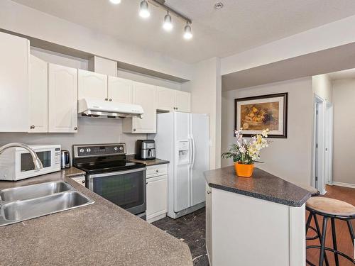 101 10346 117 Street, Edmonton, AB - Indoor Photo Showing Kitchen With Double Sink