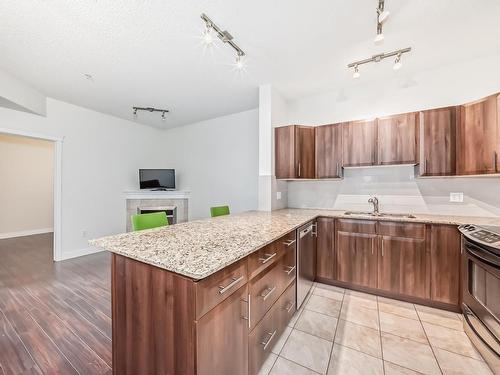 117 10333 112 Street, Edmonton, AB - Indoor Photo Showing Kitchen With Double Sink