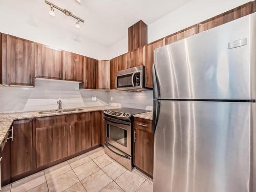 117 10333 112 Street, Edmonton, AB - Indoor Photo Showing Kitchen With Double Sink