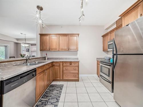 313 9739 92 Street, Edmonton, AB - Indoor Photo Showing Kitchen With Stainless Steel Kitchen With Double Sink