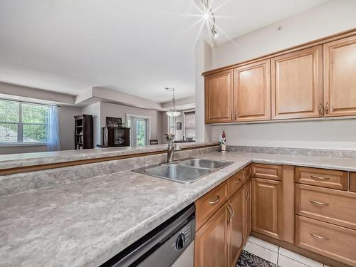 313 9739 92 Street, Edmonton, AB - Indoor Photo Showing Kitchen With Double Sink