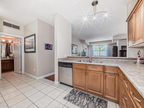 313 9739 92 Street, Edmonton, AB - Indoor Photo Showing Kitchen With Double Sink