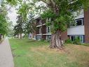 #203 10949 109 St Nw, Edmonton, AB 