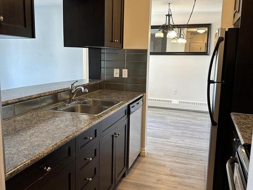 446 10636 120 Street, Edmonton, AB - Indoor Photo Showing Kitchen With Double Sink