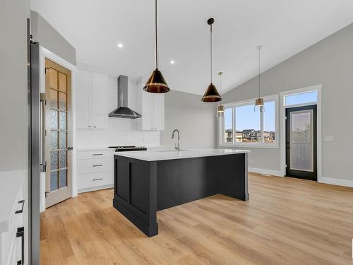 9843 223 Street, Edmonton, AB - Indoor Photo Showing Kitchen With Upgraded Kitchen