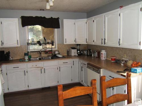 5302 47 Avenue, Vegreville, AB - Indoor Photo Showing Kitchen With Double Sink