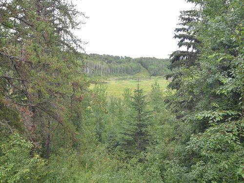 621015 Rge Rd 54, Rural Woodlands County, AB 