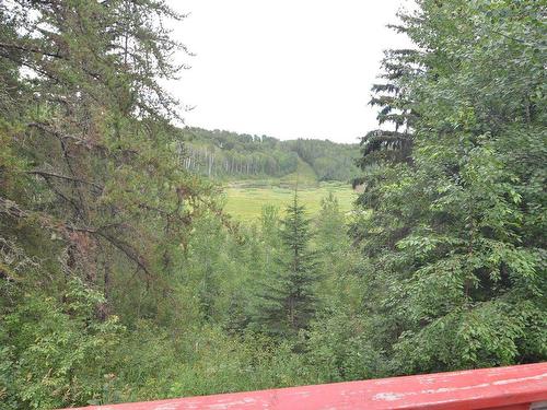 621015 Rge Rd 54, Rural Woodlands County, AB 