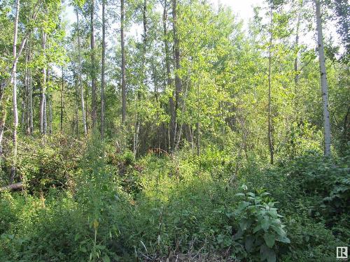 59316 Rr54 Lot 61, Rural Barrhead County, AB 