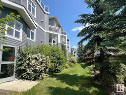 #241 16035 132 ST NW  Edmonton, AB T6V 0B4