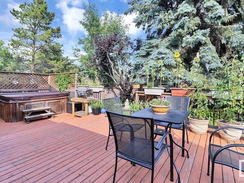 18921 98 Avenue, Edmonton, AB - Outdoor With Deck Patio Veranda