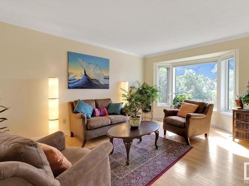 18921 98 Avenue, Edmonton, AB - Indoor Photo Showing Living Room