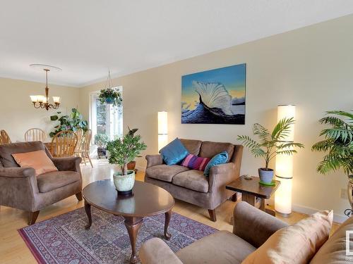 18921 98 Avenue, Edmonton, AB - Indoor Photo Showing Living Room