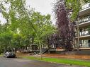 #404 9828 112 St Nw Nw, Edmonton, AB 