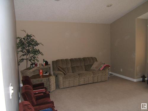 26 Whitetail Crescent, Mundare, AB - Indoor Photo Showing Living Room