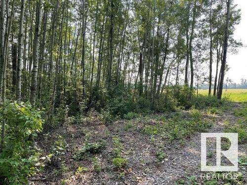 Lot 9 54426 Rge Rd 40, Rural Lac Ste. Anne County, AB 