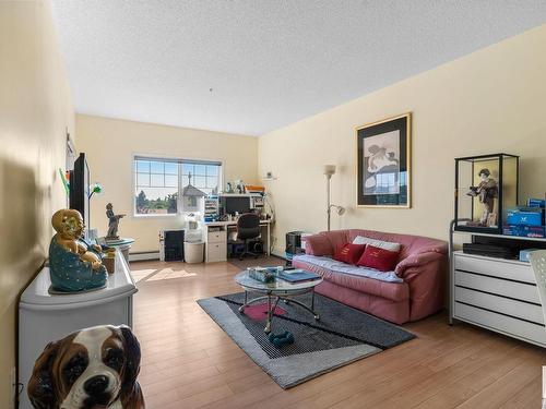 304 16715 100 Avenue, Edmonton, AB - Indoor Photo Showing Living Room