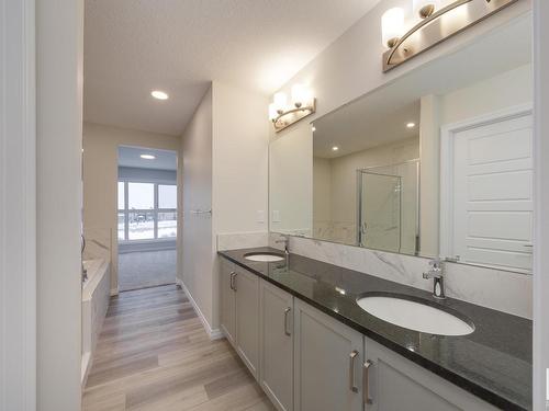 13023 213 Street, Edmonton, AB - Indoor Photo Showing Bathroom