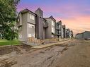 #312 12416 161 Av Nw, Edmonton, AB 